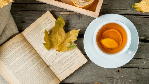 Novembre: l'autunno che forma