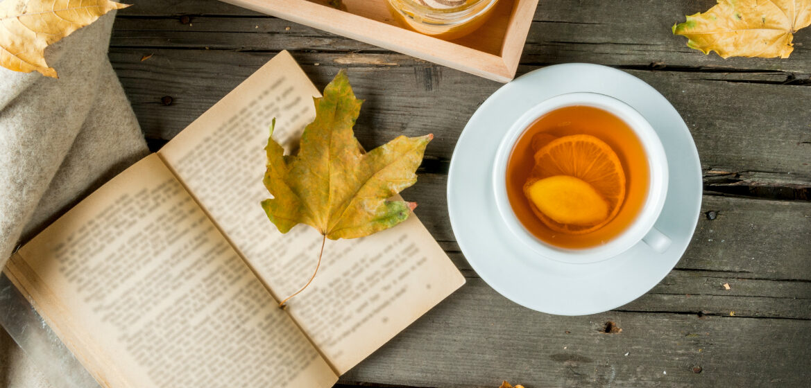 Novembre: l'autunno che forma