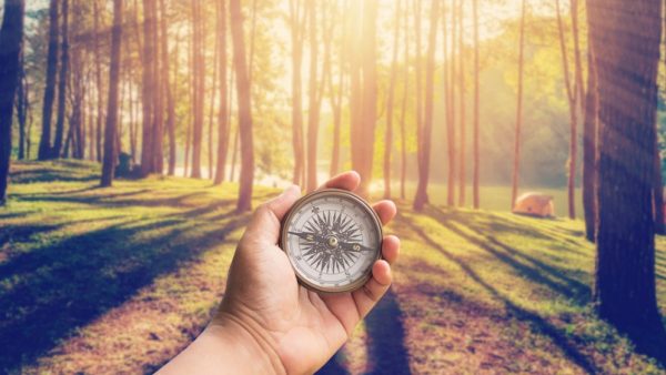 Come diventare Guida Ambientale Escursionistica