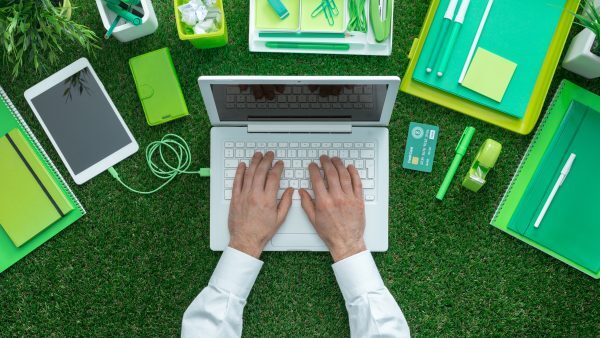 Green Manager, cosa fa, stipendio e opportunità professionali