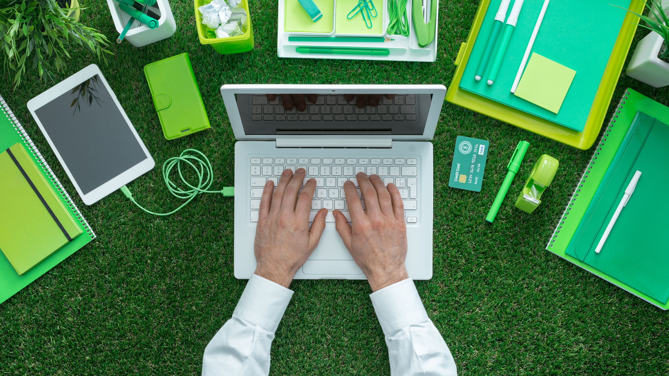 Green Manager, cosa fa, stipendio e opportunità professionali